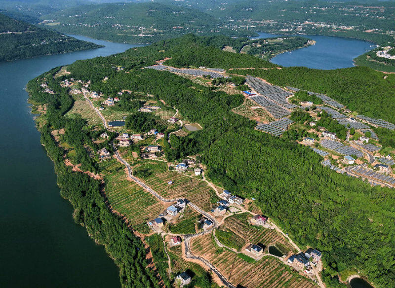 环嘉陵江经济带苍溪亭子现代农业园区(刘徽 摄)