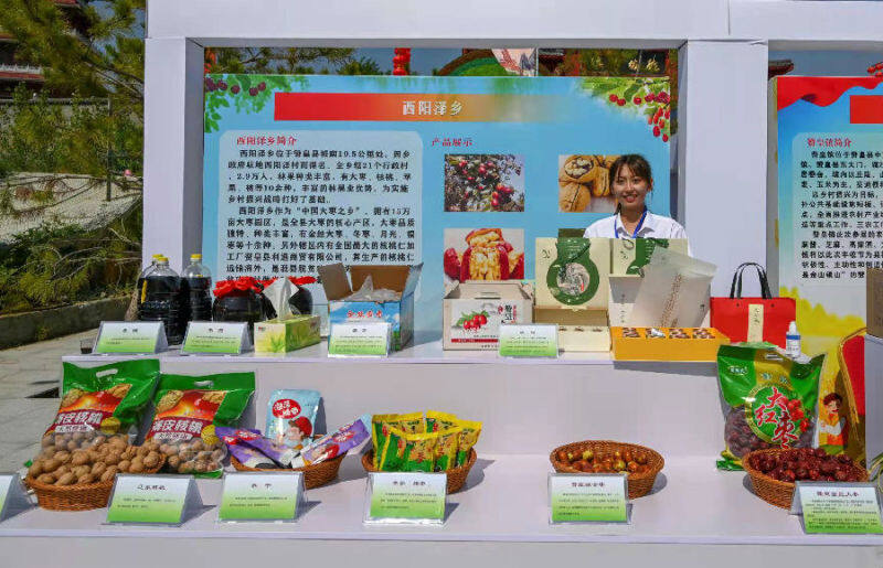 河北赞皇举办盛世颂党恩丰收新华章农民丰收节