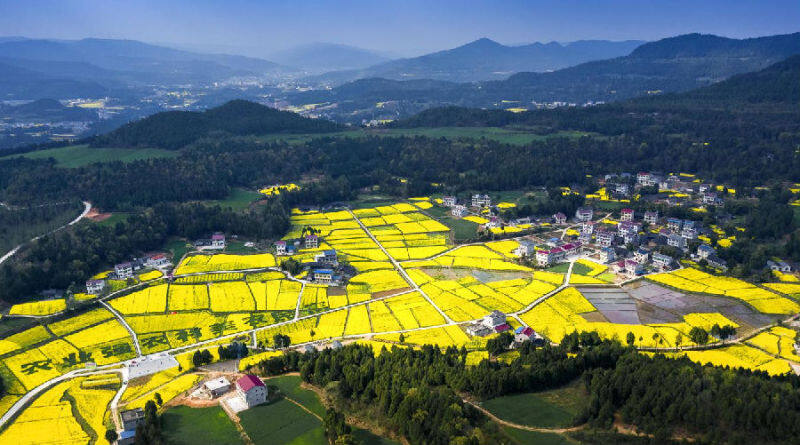 四川剑阁县绿色筑底加快建设川北森林粮仓