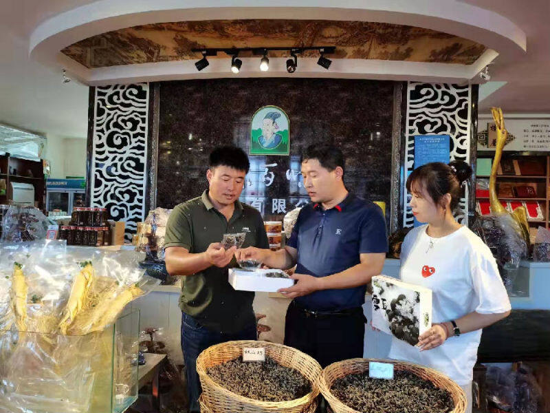 木耳助吉林省蛟河市黄松甸镇产业振兴