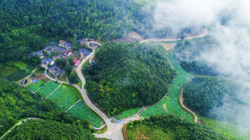 罗圈岩村获评四川改革创新名村