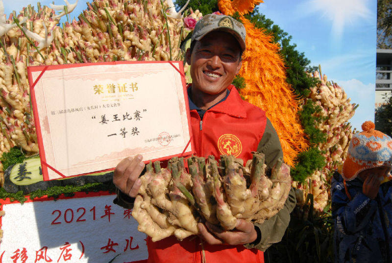 女儿村姜农李修勇获得2021年"姜王"称号 (张涛 摄)