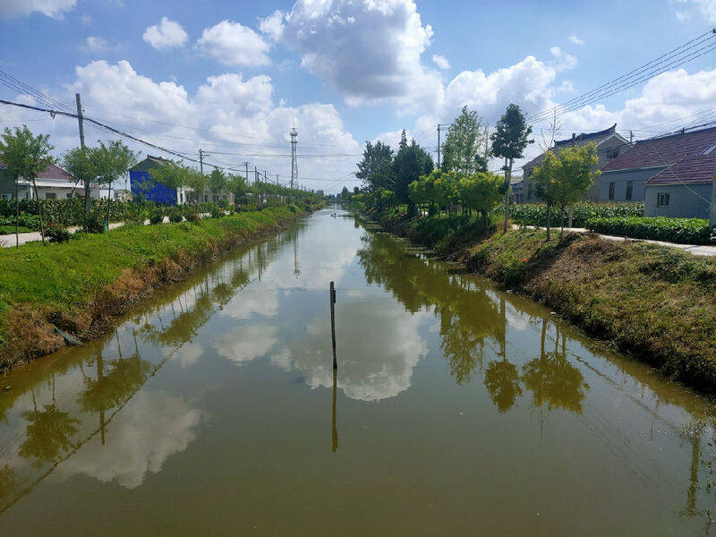 农村人居环境整治"等工作,因地制宜,统筹谋划,科学制定生态河道实施