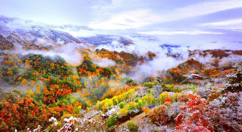 图为米仓山自然保护区景色(周俊 摄)