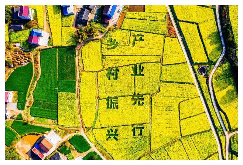 视频建设县域副中心白龙镇潮起新刻度