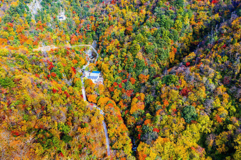 俯瞰青川县摩天岭(杨安文 摄)