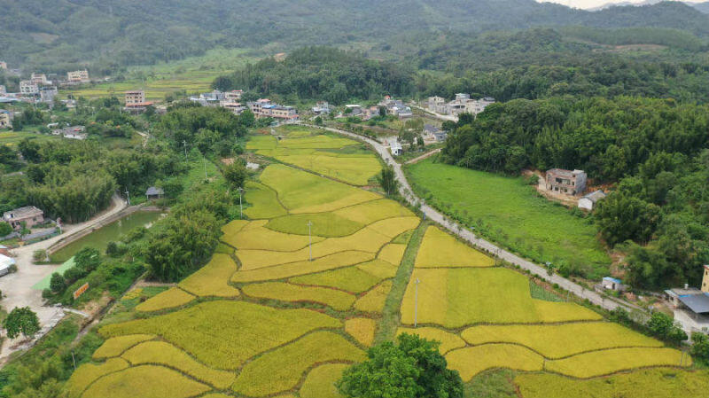 广东龙门龙田镇:培育新业态 促三产融合_县域经济网