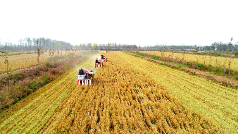 最美茶艺师郭静宜_最美茶艺师_最美茶艺师优雅的句子