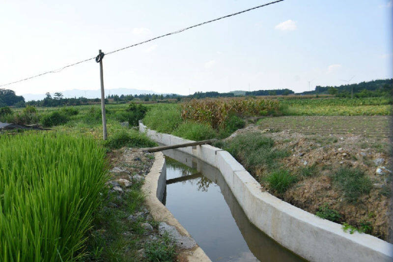涌泉村宽阔干净的水渠(陶海游 摄)