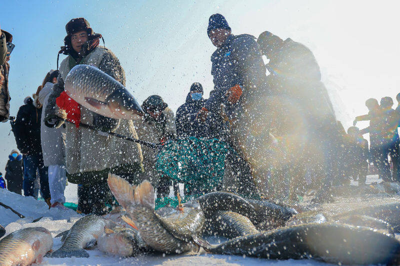 图为渔民在新疆博湖县博斯腾湖冰面上冬捕作业（年磊 摄）