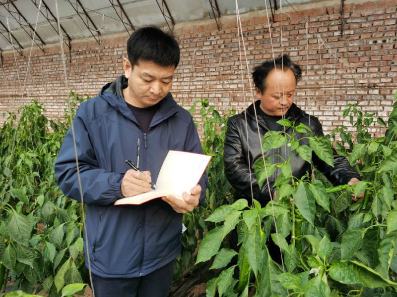 中国县域经济报记者王官波在长皋乡老窝铺村采访