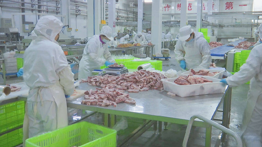盐池县滩羊产业发展集团生产加工车间（余雯 摄）