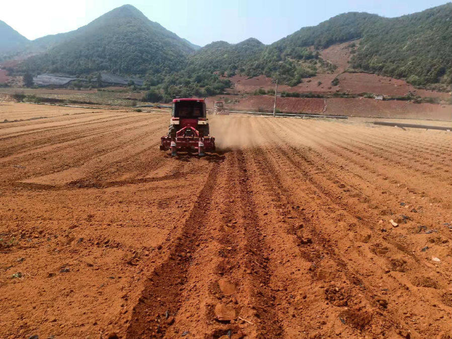 技术员娴熟而又流畅操作着旋耕机开足马力在烟田里来回穿梭旋耕翻耕