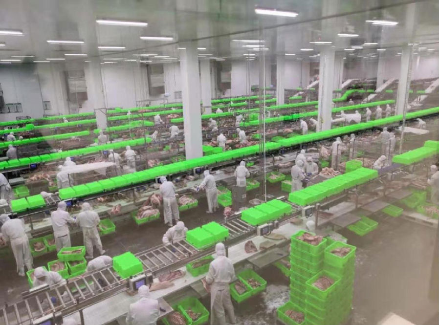 新投产的内乡县牧原食品城生猪屠宰车间一角(李青 摄)