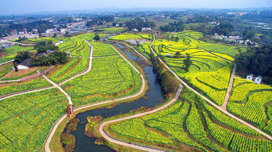 重庆江津区聚焦农业产业集群共融扎实推进成渝地区双城经济圈建设