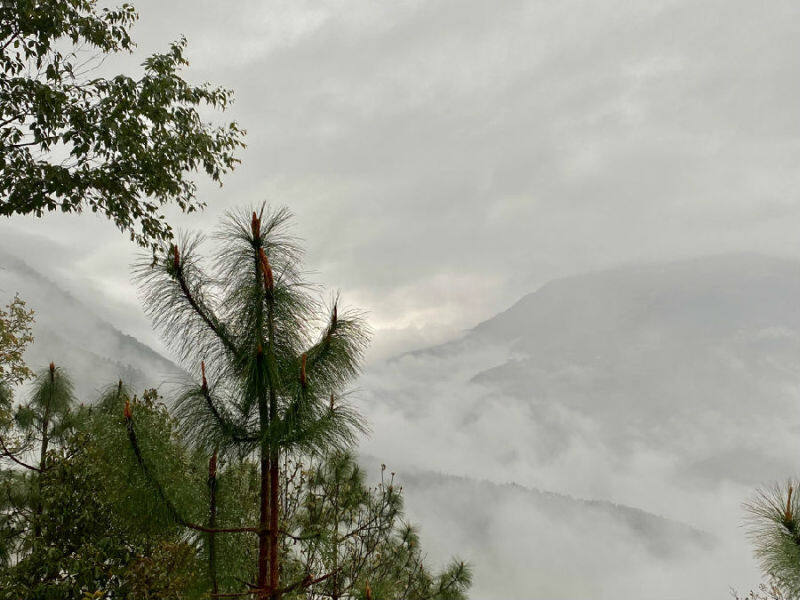 雲南楚雄三街鎮政企合作讓高寒山區變熱土