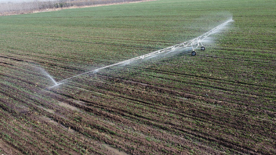 青岛即墨区机械化科技助力小麦春管中国县域经济报