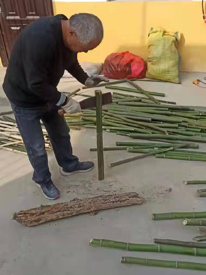 河南唐河县湖阳镇打造一宅四园让乡村美起来