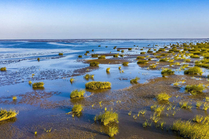 江苏射阳抢跑海洋经济绿色发展新赛道