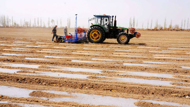 新疆温宿40余万亩棉花开播智能机械显身手
