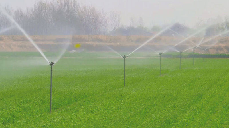 杨承东地里的地埋式伸缩喷灌设备(梁珊 摄)