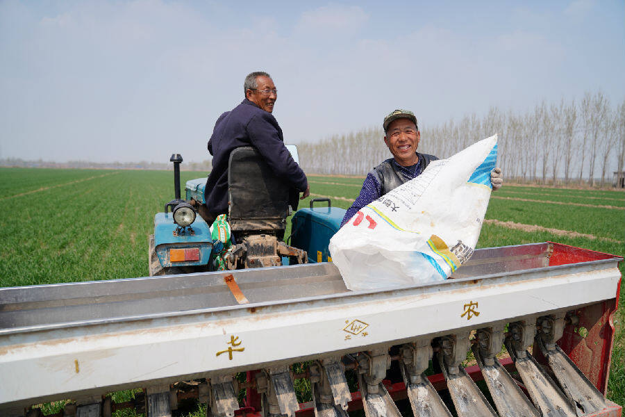 乐陵市黄夹镇德鑫生态种植家庭农场管理人员正在用多功能撒肥机进行