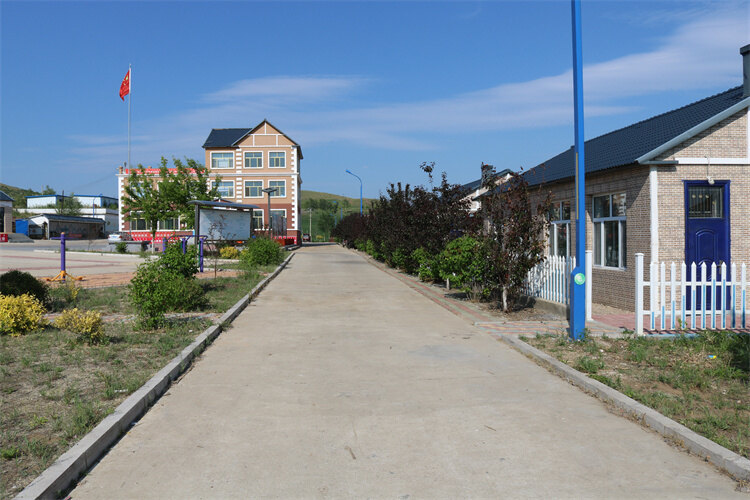 内蒙古扎兰屯市蘑菇气镇人居环境整治擦亮乡村振兴底色