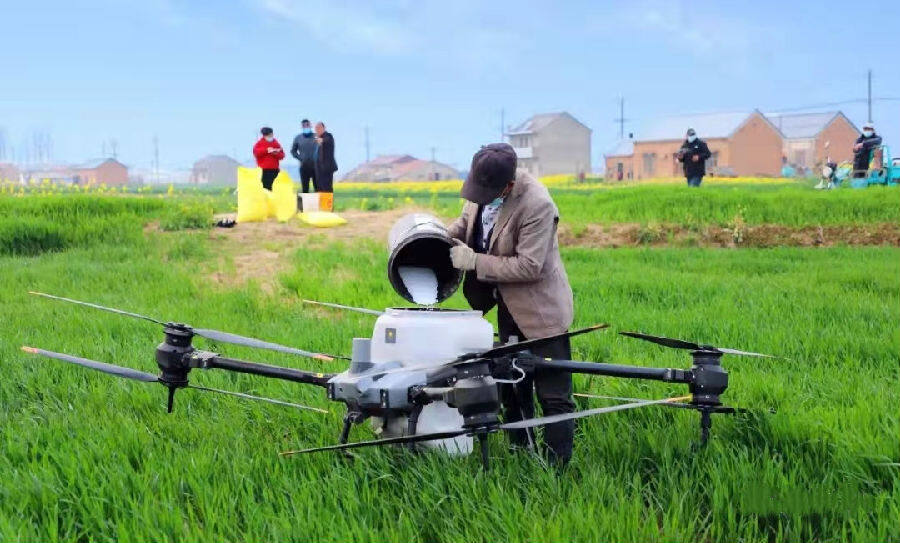 当前正抓住小麦拔节孕穗期,在田间利用3台植保无人机进行施肥作业,在