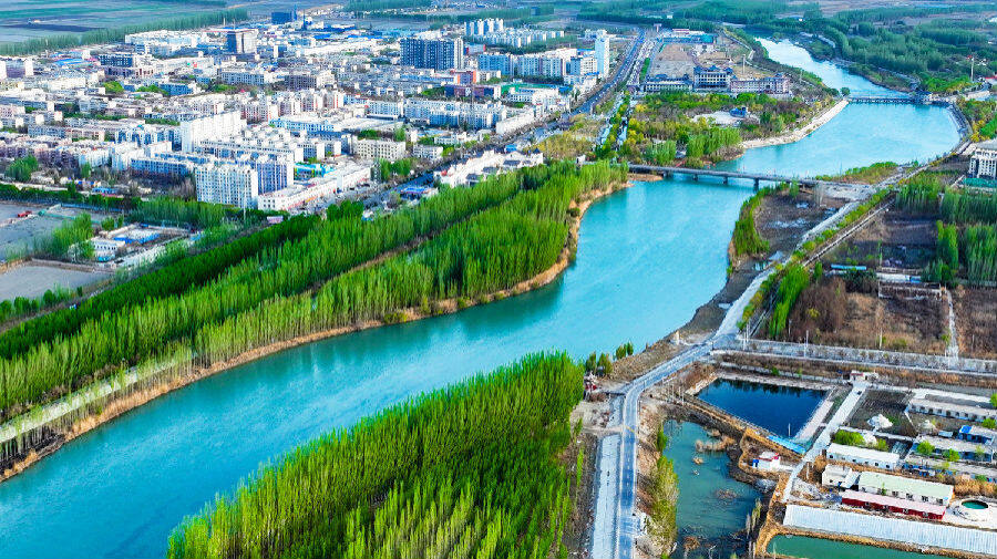 图为博湖县春意盎然绿满城(年磊 摄)