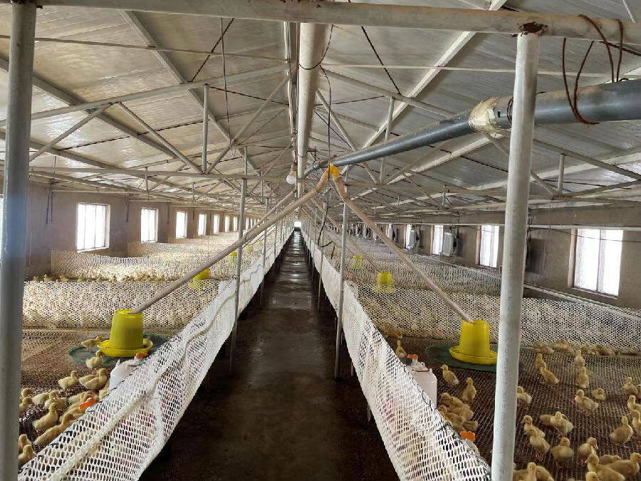 内蒙古喀喇沁旗西桥镇聚力发展特色产业助力乡村振兴