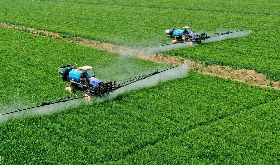 安徽农垦龙亢农场一喷三防保丰收