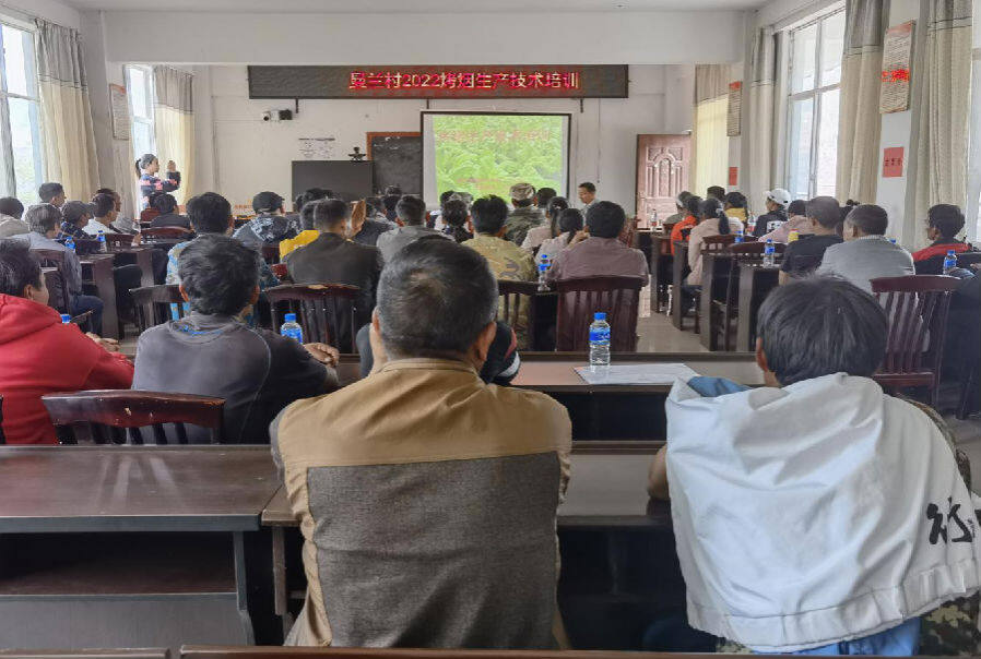 曼兰村农民技术培训(王素平 摄)