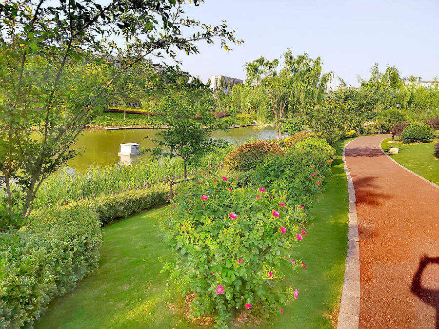 杭州五常街道绿地滨水满足人民美好生活