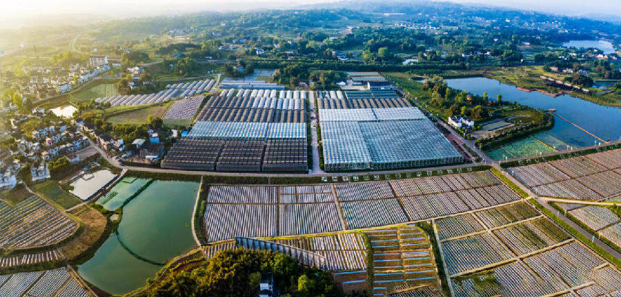 董允坝蔬式生活农旅公园(谢婉玲 摄)