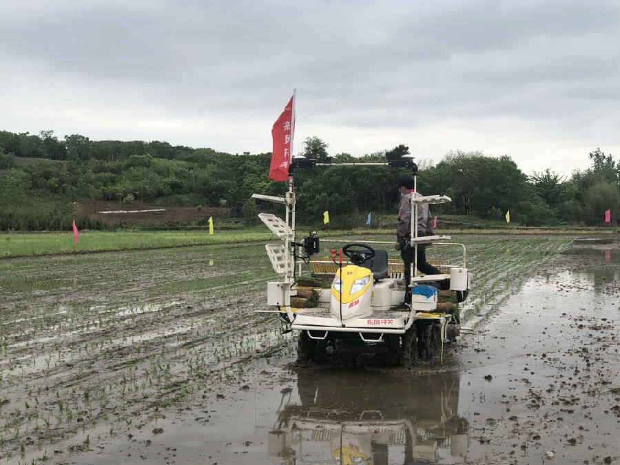 图为掇刀区实现全程机械化插秧(李德银 摄)