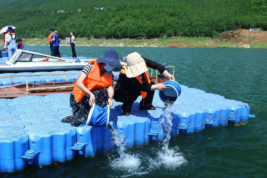 放鱼啦四川广元90万尾鱼苗放流嘉陵江