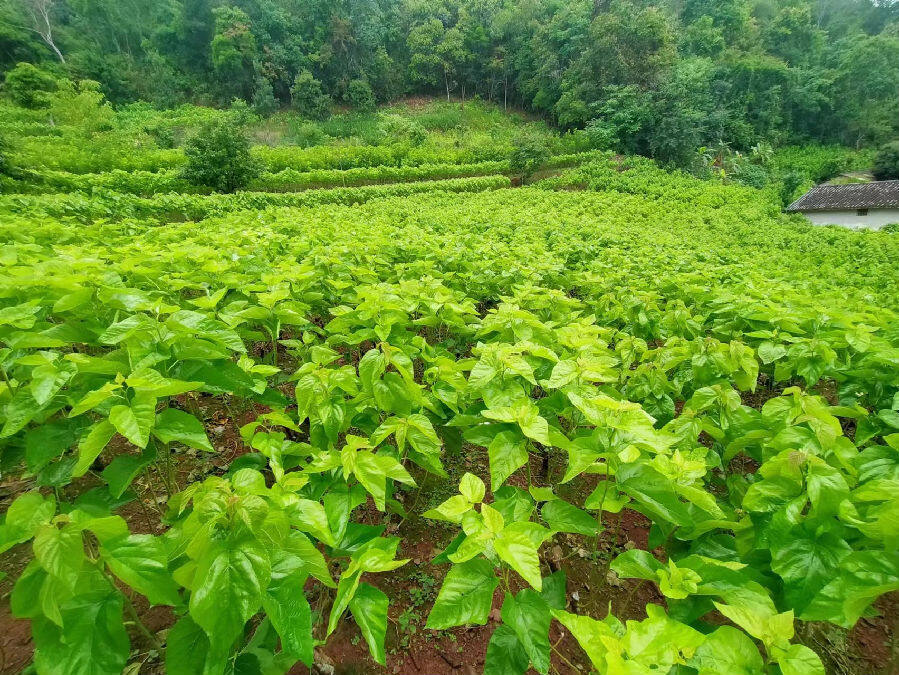 "新丝路"拓宽"新思路" _县域经济网