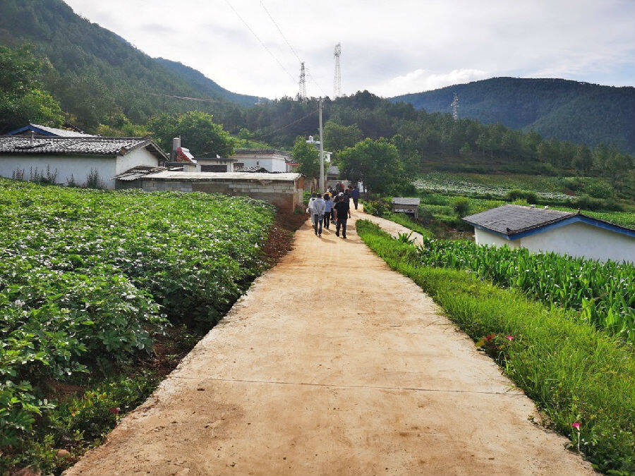 示范点新联村小组的入户硬化路(卢晓超 摄)