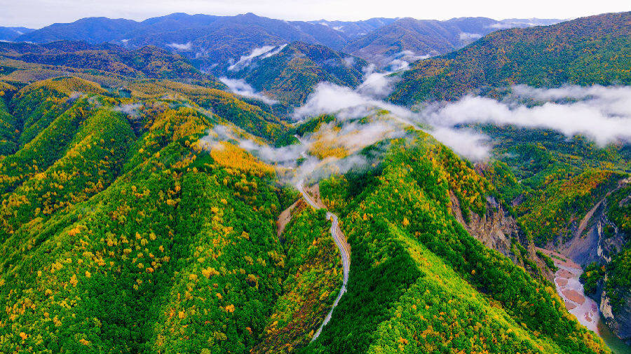 泾源旅游景点大全图片