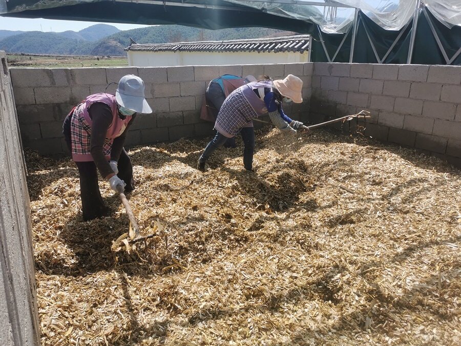 丽江市宁蒗县宁利乡甘沟示范点自制有机肥(和镜芳 摄)