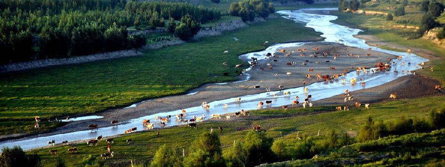 库伦旗养畜牧河畔风景(张鹏飞 摄)