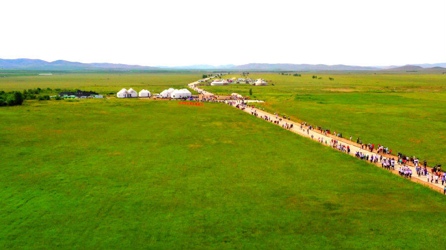 视频|"赏金莲川花海 品正蓝旗奶酪 "——2022内蒙古正蓝旗金莲川赏花