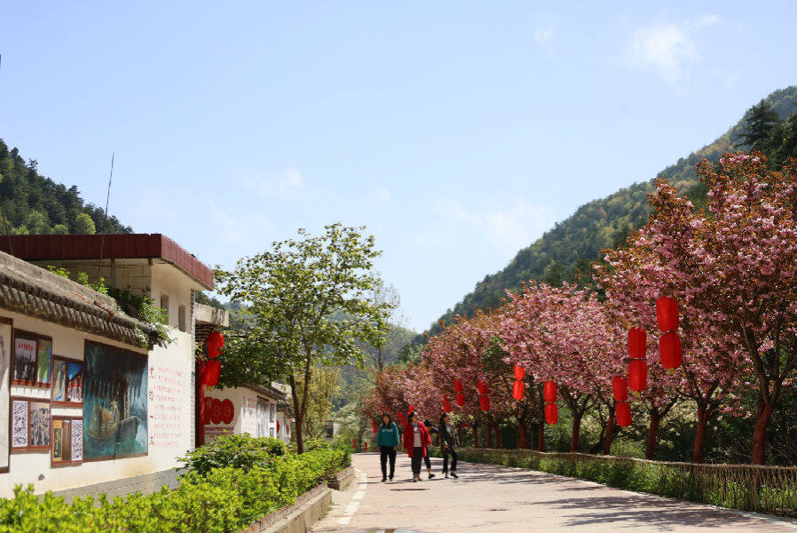 鸡峰镇长沟村美如画     (刘建军摄 )