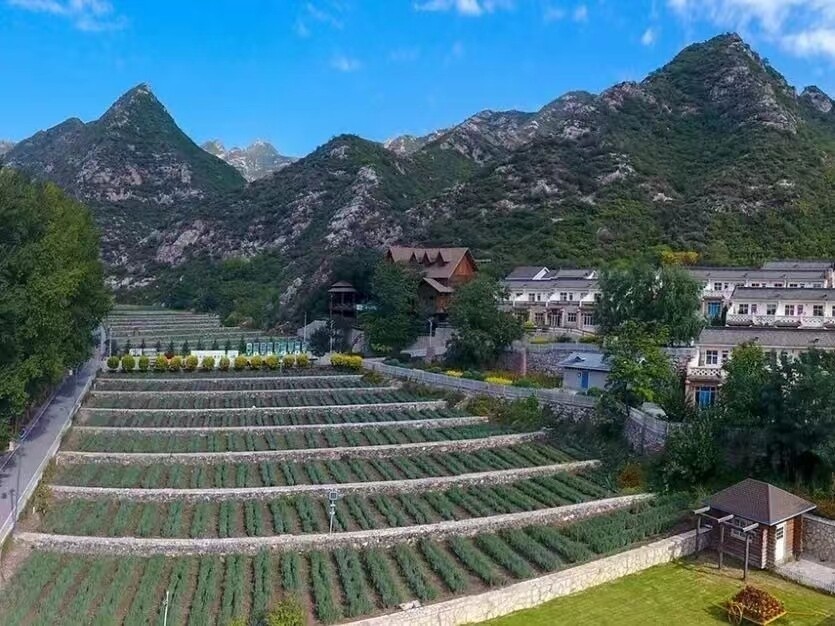 风景如画的车河村令人心驰神往  (杜晓楠 摄)