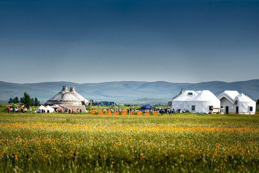 图为金莲川草原一隅(管永新 摄)