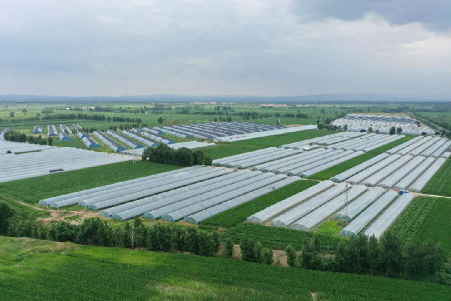设施农业托起村民"致富梦"_县域经济网
