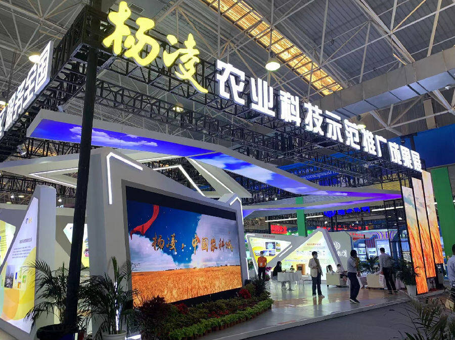 杨凌农业科技示范推广成果展(陈岚 摄)