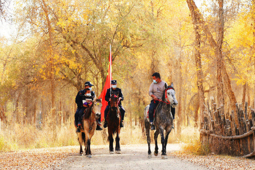 新疆阿瓦提:胡杨林深处马背上的宣讲队_县域经济网