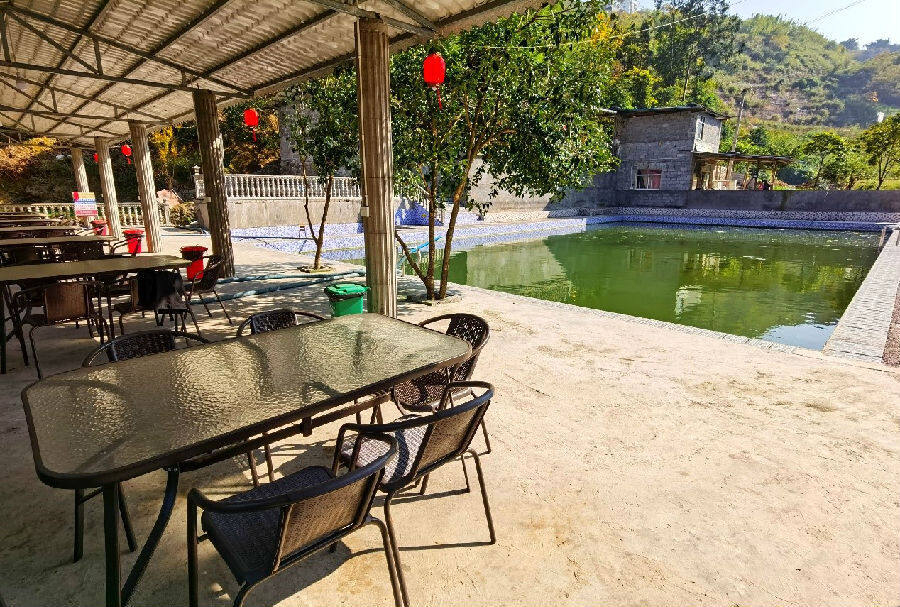 图为农家乐休闲垂钓区一角(唐文艺 摄)