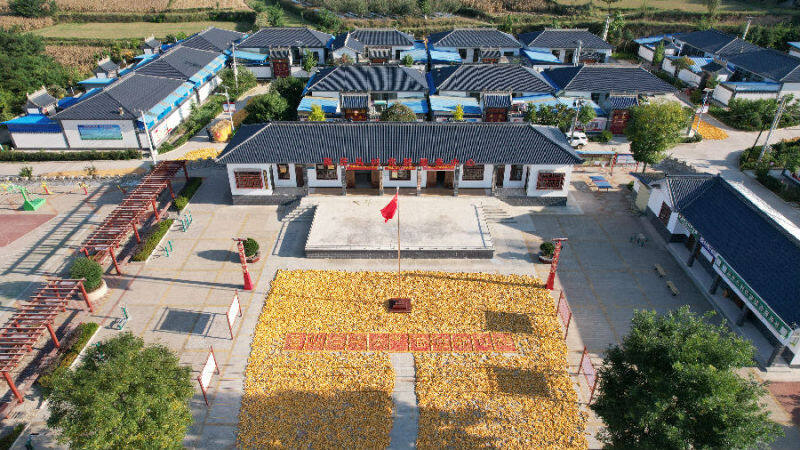 飞云镇南庄头村(赵永刚 摄)